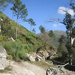 Casa Miguel * Sabugueiro (Guarda)