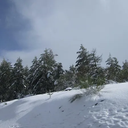 Casa Miguel Sabugueiro (Guarda)