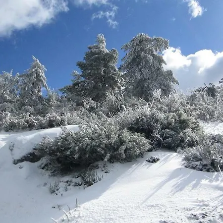 Casa Miguel Ferienhaus *