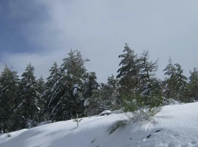 Casa Miguel Sabugueiro (Guarda)