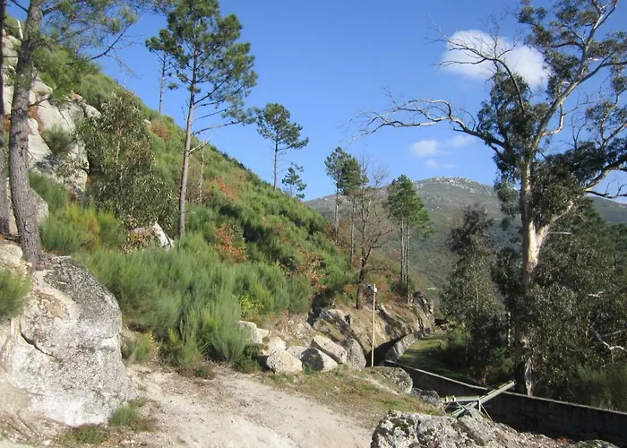 Casa Miguel * Sabugueiro (Guarda)