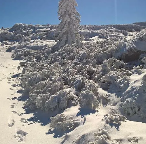Casa de Férias Casa Miguel *