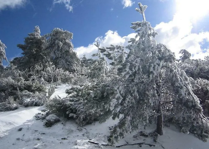 Casa de Férias Casa Miguel *