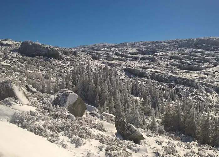 Casa Miguel Casa de Férias