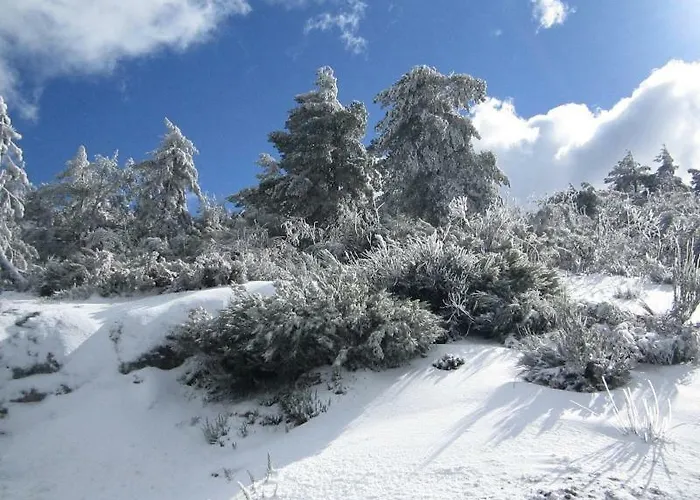 Casa Miguel Casa de Férias *