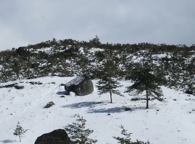 Casa de Férias Casa Miguel Sabugueiro (Guarda)
