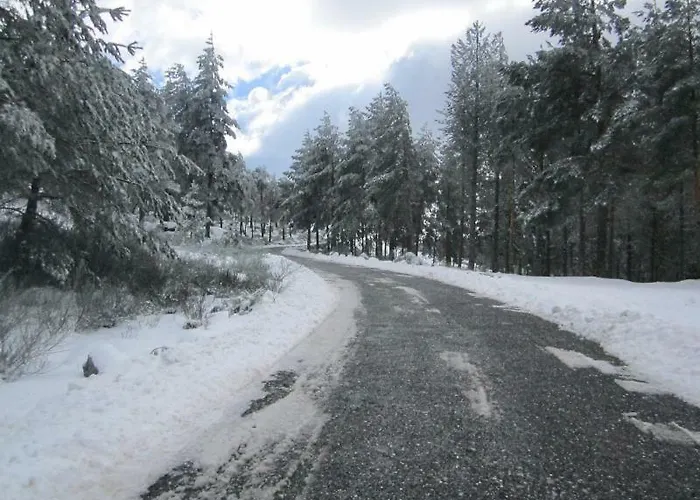 Casa Miguel Casa de Férias