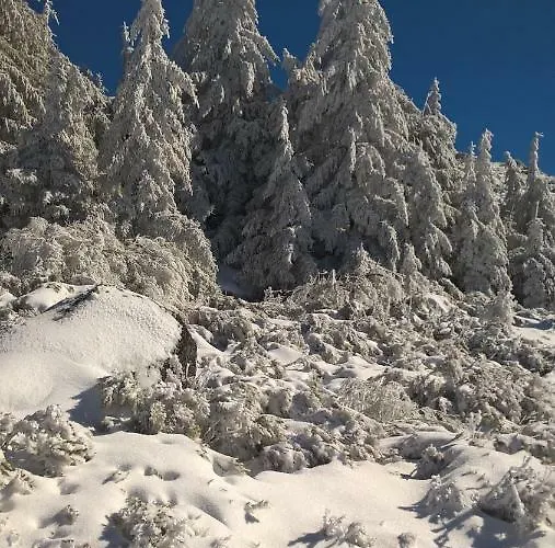 Casa Miguel Sabugueiro (Guarda)