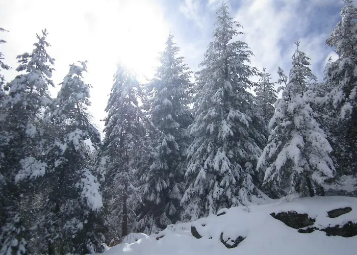 Casa de Férias Casa Miguel Sabugueiro (Guarda)