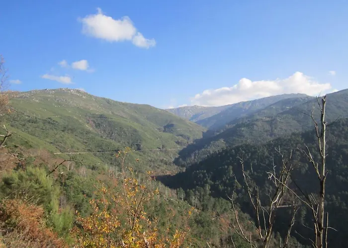 Casa de Férias Casa Miguel *